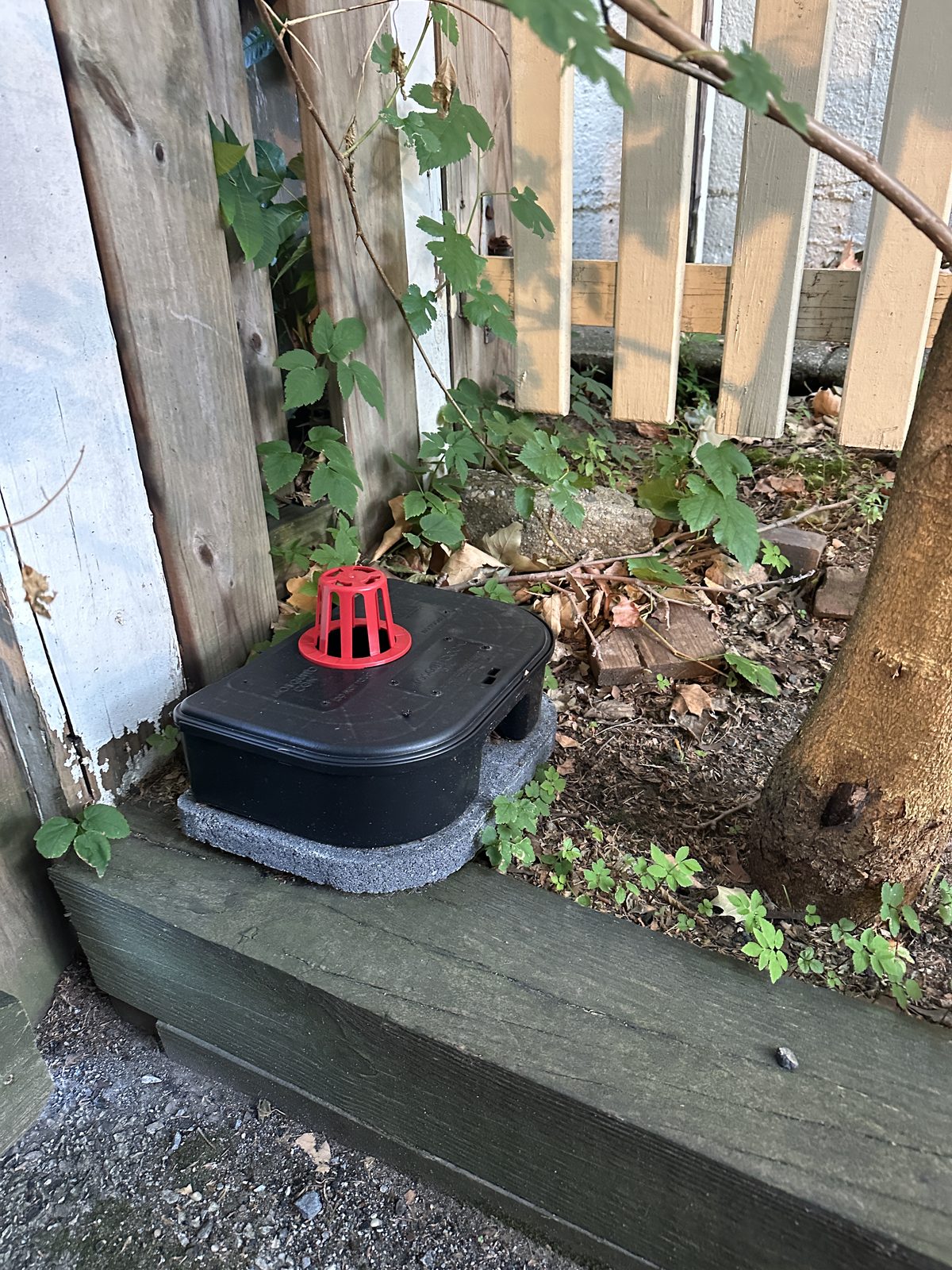 A MosquitoCon larvicide station placed along the backyard perimeter fence